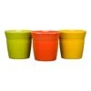 Fiesta Flower Pot Set 1 Fiesta Flower Pot Set -Fiesta 150642054 a575cac9 07f7 485a b235 a59343486bc7